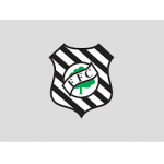FUTEBOL FIGUEIRENSE 